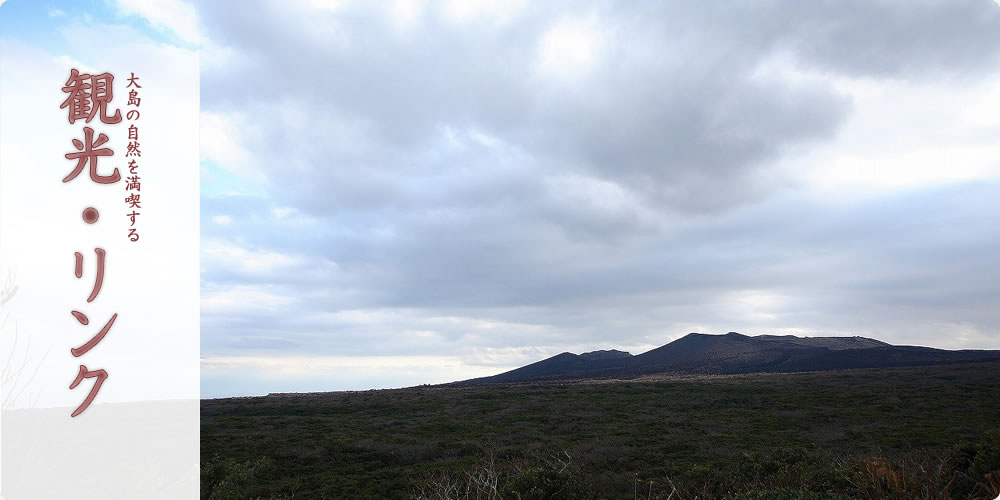 大島の自然を満喫する　観光・リンク